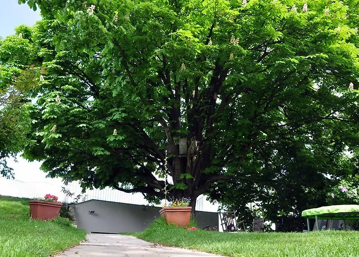 Appartement Castle Hill