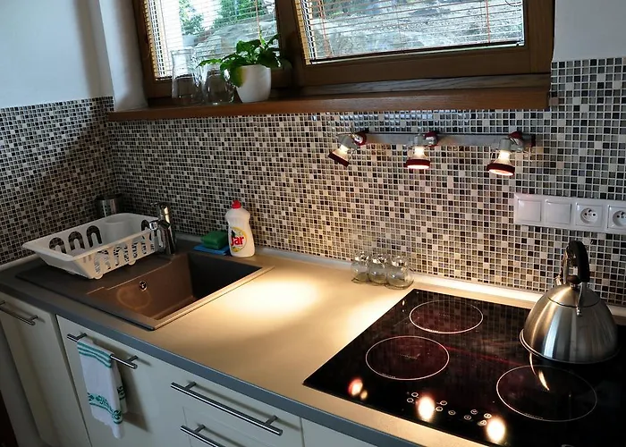 公寓 布拉迪斯拉发城堡公寓酒店