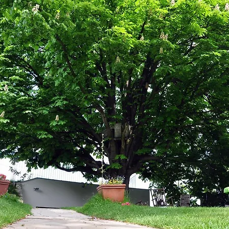 Appartement Castle Hill